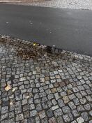 Foto: Gully verstopft  